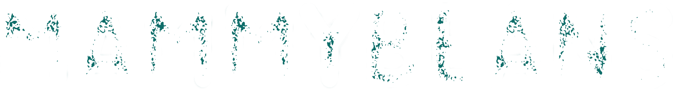 footer-logo
